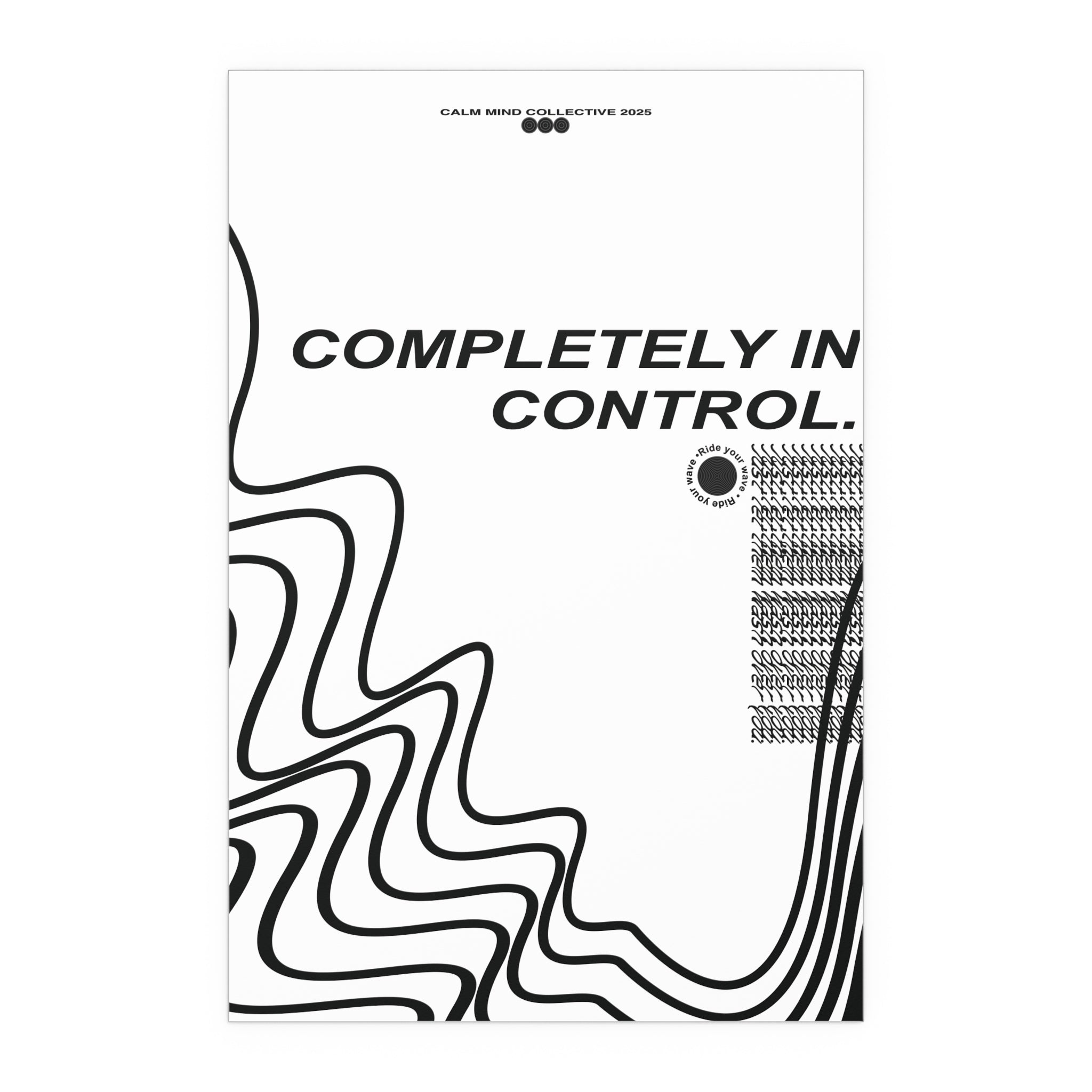 IN CONTROL - Wavelengths Collection - Silk Poster